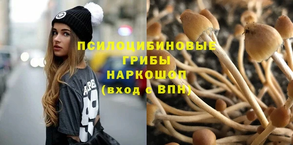 молекула духа Хадыженск